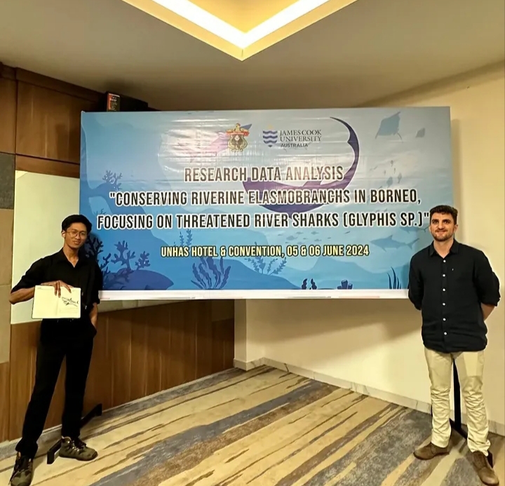 Borneo Shark Research